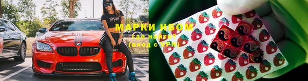 ГАЛЛЮЦИНОГЕННЫЕ ГРИБЫ Алексин