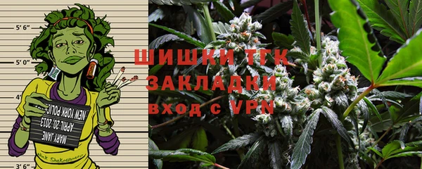 ГАЛЛЮЦИНОГЕННЫЕ ГРИБЫ Алексин